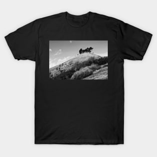 Colmers Hill -  Black and white T-Shirt